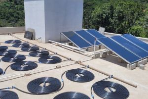 WhatsApp Image 2025 03 05 At 15.17.58